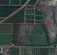 Parcela rural en Mendoza con divisiones y vegetación, ideal para inversión - Noli Desarrollos Inmobiliarios