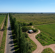 Vista aérea de una propiedad rural en Mendoza con camino arbolado y campos verdes - Noli Desarrollos Inmobiliarios